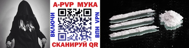 Альфа ПВП СК  Моздок 