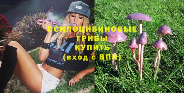 индика Абинск