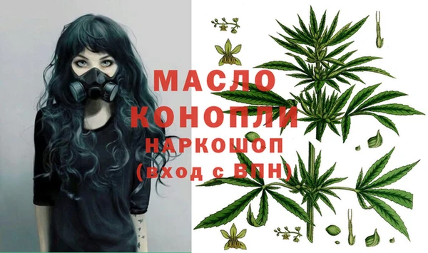 молекула духа Алексин