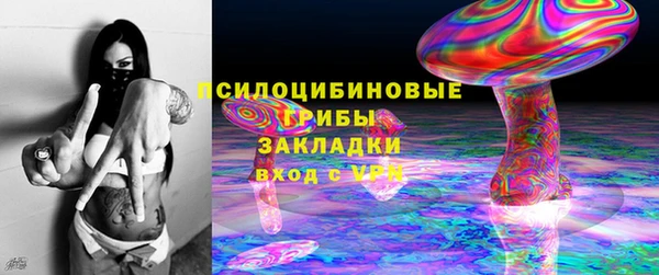 молекула духа Алексин