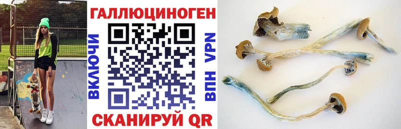 купить закладку  mega   Псилоцибиновые грибы ЛСД  Моздок 